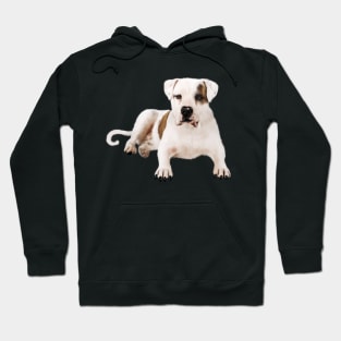 Bull Dog Lover, Bulldogs Hoodie